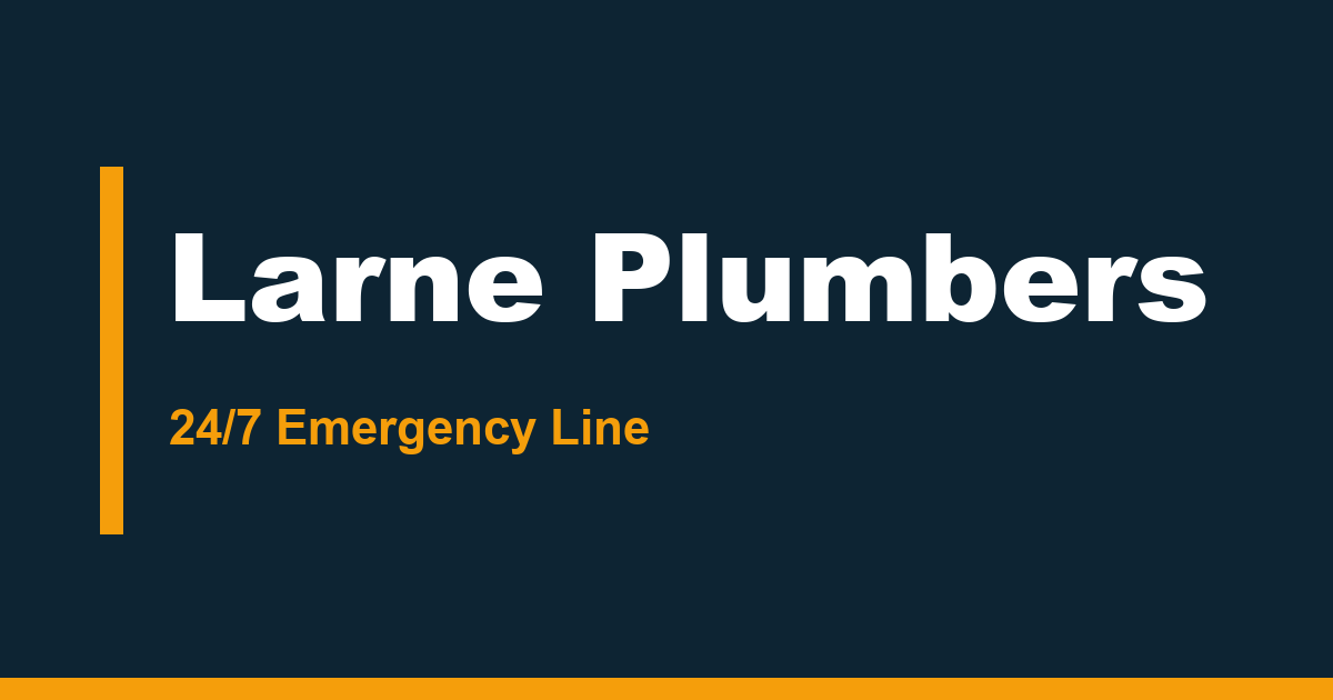 Larne Plumbers website